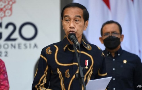 Indonesia to lift palm oil export ban on May 23