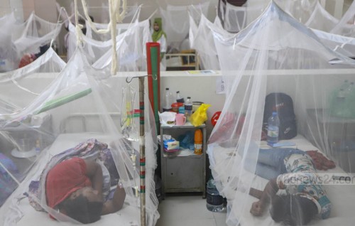 Honduras gai dengue case thah ginave sihhee kulli nurakkaluge haalathu iulaan kohfi