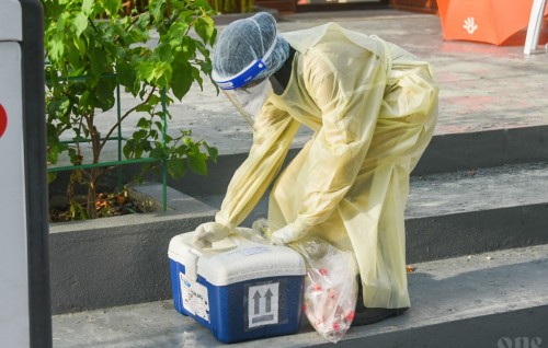 65 tested positive in past 24 hours, cases in Male’ and resorts gone up