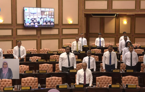 Member Riza ge handhaanugai majileehugai sukootheh genes, thauziyaage dhaftharu hulhuvaalaifi