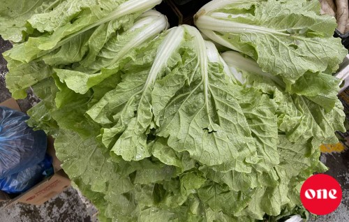Roadha 1: Lettuce kilo eh 100  rufiyaa ah