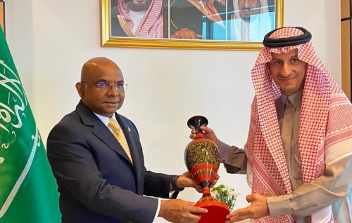 Minister Shahid returns after OIC meeting