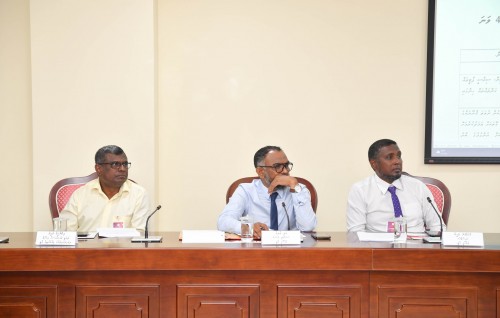 Anhenun ah 33 percent quota eh kanda alhan siyaasee party thakun dhekolhu