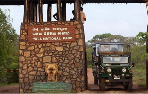 Lanka ge park akun kokaathakeh vagah negi Italy bayaku 2 lakka dolarun joorimanaakohffi