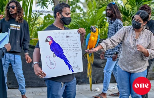 Dhooni thah maraalumugai gaanoonaai hilaafu vefaivaa faraaiythakah fiyavalhu alhaanan: Ministry