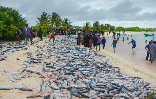 Falhuthereyah raagon'di aineh vadhe, Dhidhdhoo rayyithunnah raagon'deege Eid eh!