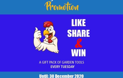 Kukulhu fihaaraige ''Year End Promotion'' ge furathama hafthaage naseebuveriyaa hovaifi