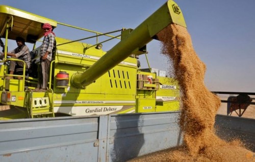 India bans wheat exports as heat wave hurts crop, domestic prices soar