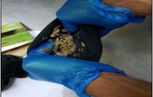 Drugs found in luggage of Indian man visiting Maldives