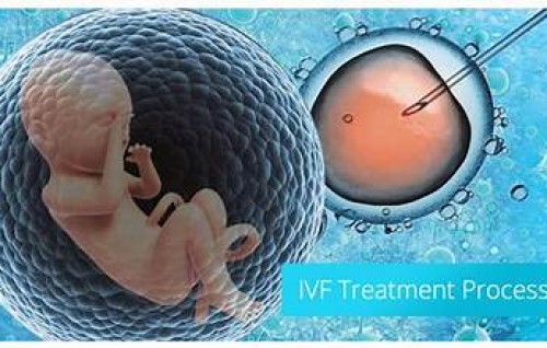 IVF faruvaa beynunvaa meehun ehaa ah hushahelhumah hulhuvaalaifi