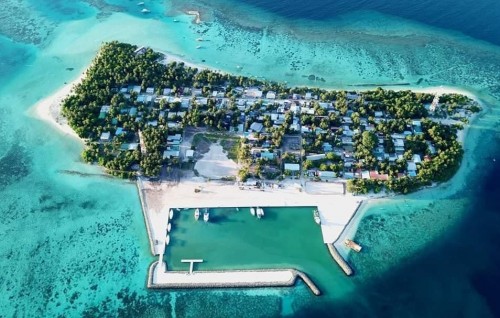 Himandhoo gon'dudhoh himaayaiy kurumuge mashroou MTCC aa havaalu kohfi
