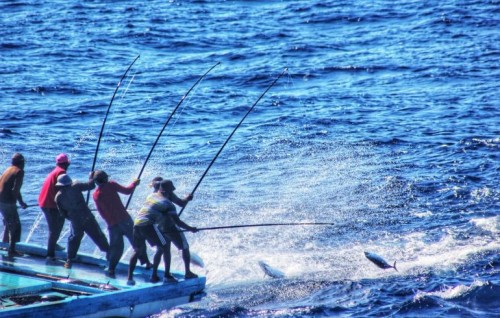 President Solih submits Fisheries Bill to Parliament