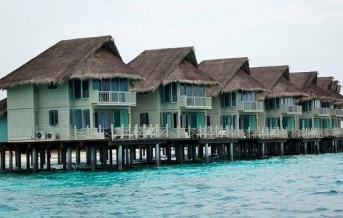 Alidhoo insurance claim mahsalaigai 115 million dollar hoadhan Yacht Tours in  Allied govaigen court ah