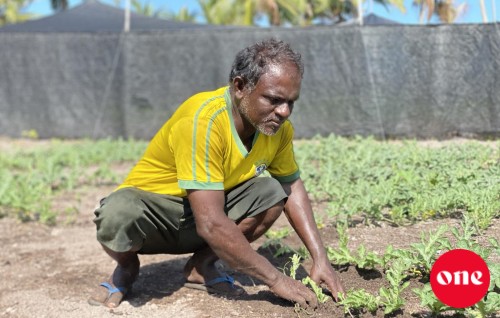 Dhanduverikamuge gaumee laboratory anna aharu hulhuvanee 