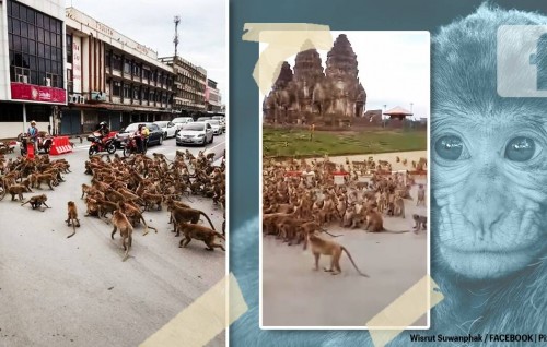 Thailand gai ethah satheyka raamaa makunu magumahcchah nukume 