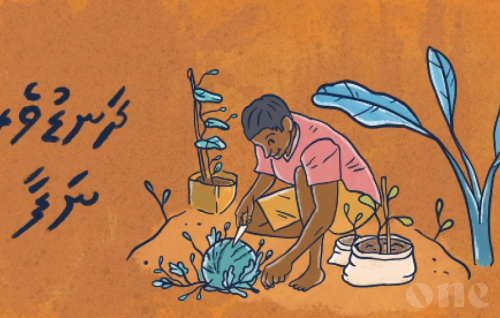 Dhanduveri Nafa: Government introduces special loan for farmers