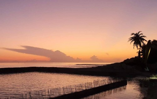 Vandhoo bandharu funkurumuge 35 percent massakkai nimijje