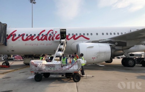 Maldivian flight returns with 12 tons of cargo from Bangkok