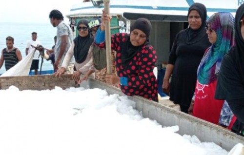Masfinikuraa nizaam gaaim kuran genna  systemthakun duty maafukurumah hushahelhumah hulhuvaalaifi