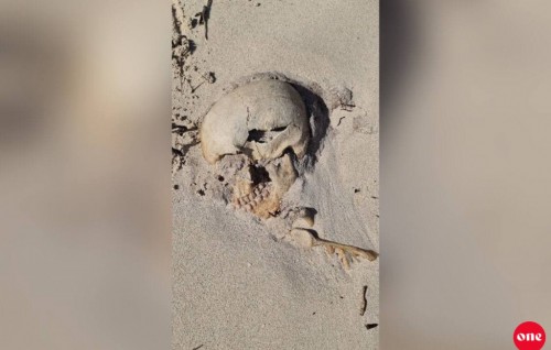 Human remains of three found at Himandhoo beach