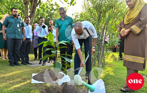 One Photo: 5 million gas indhumuge mashroou feshun