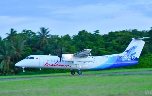 Maldivian to resume flights to Cochin