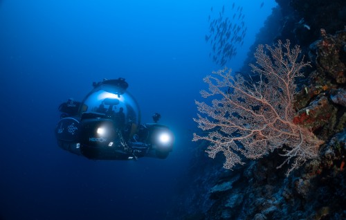Kan'duge 500 meter adin dhirunthakun furigenvaa sarahahdheh Nekton in hoadhaifi