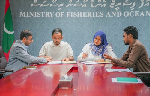 Mulakugai 500 tonne ge cold storage facility eh hedhumah Saudi ge kunfunyakaa havaalu koffi