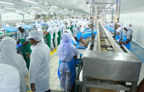 MIFCO akee subsidy aa nulai hingaa kunfunyakah 3 aharu therey hadhaanan: Minister