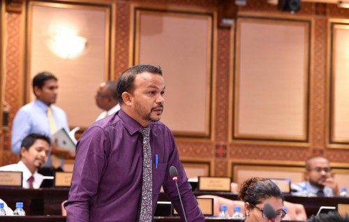 Cannot reform judiciary without revising constitution: MP Ali Hussain