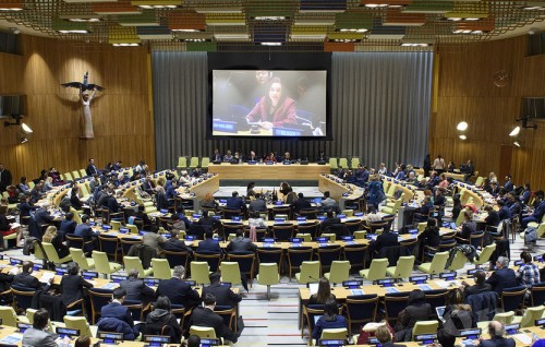 Will vote for Palestine in all resolutions at the UN: Government