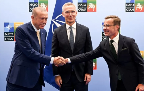 Turkey backs Sweden's Nato membership