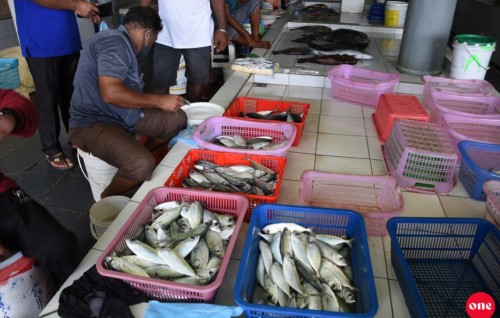 Raw fish becomes scarce, raising prices