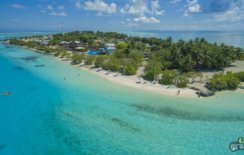 Kuleege gothugai libenjehey 4 million hoadhan Dhiffushee council inn masahkkaiy kohffaeh nuvey: Audit