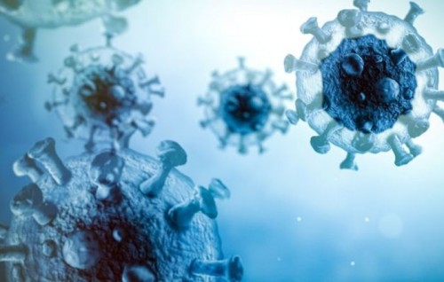 NeoCov Virus akee kobaa? adhi eyge nurakkaa othee kihaavarakah?