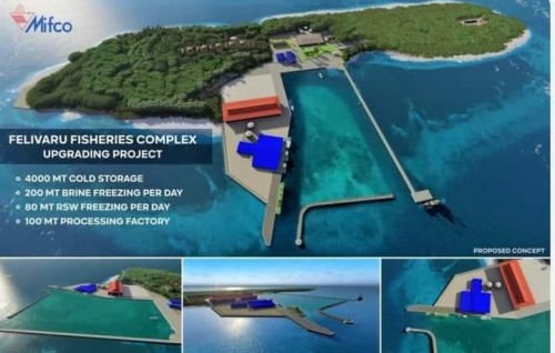 Felivarugai alah gaaim kuran ninmi 100 ton ge canneryge design massakaiy fashaifi