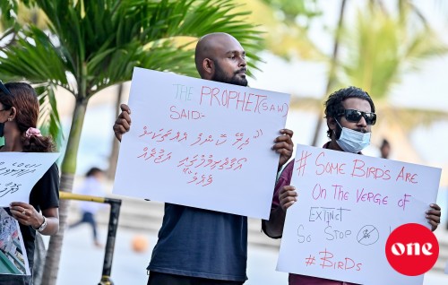Photo: Dhooi Thakeh Maraalumaai Gulhigen Muzaahara Kurani