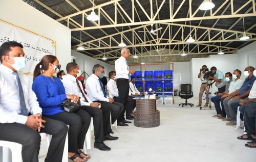 Guesthouse viyafaari fulhaakurumakee sarukaaruge enme iss eh amaazu: Raees