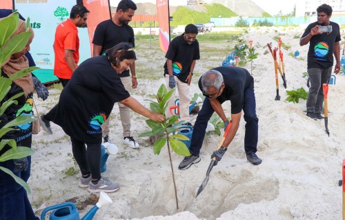 Clean Maldives launches 1,000 tree planting program in Hulhumalé