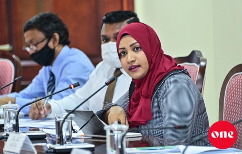 Alhan jehey fiyavalheh alhaigen ves, flying school ge mahsala hallu kuraanan: Minister Nahula