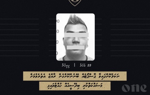 Foreigner using false passport stopped at airport