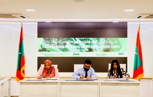 Sarukaarun dhanduverinnah maalee eheetherikan foarukohdhey scheme feshumah SDFC aaeku ebbasvumakah