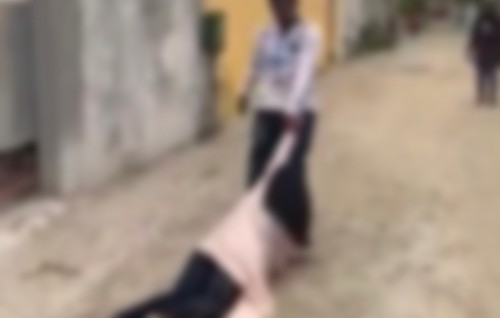 Madaveli magumatheegai anhenaku dhemun: Loabeege kanthagandeh? rashu meehun dhakkanee ehen kahala vaahakathakeh!