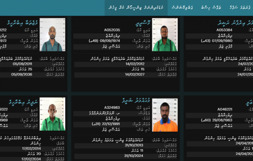 Kudakudhin ah jinsee goanaa kuraa meehunge dhaftharu digital kohfi