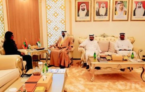 UAE Minister of State meets and Maldivian Defence Minister