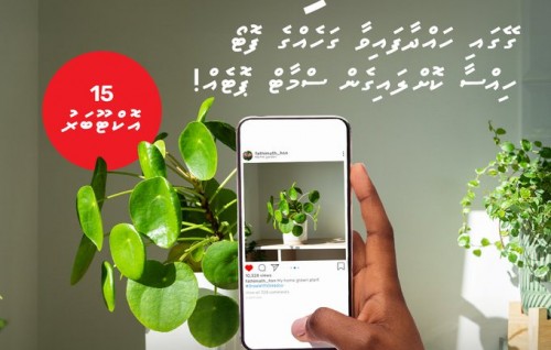 Geygai hahdhaafai huri gahehge photo hissaa kohgen smart pot eh hoadhumuge furusathu