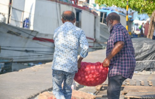 STO drops onion price to 100 per sack