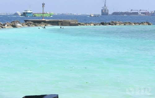All populated islands to be designated 'safe zones' for swimming