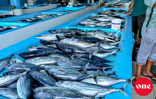 Dhivehi mahuge baavaiythakah India ge market gai tharuheebu oiy minvaru belumah dhiraasaa eh