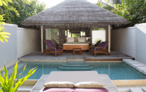 Coco bodu hithi pool eh gai 8 aharuge kujjaku maruvefai ohvai fenihjje